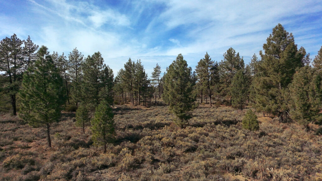 image00025